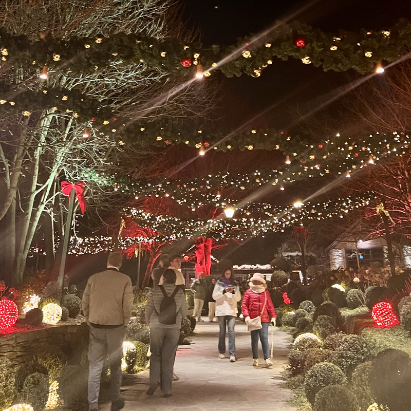 Festive Lights & Cozy Nights